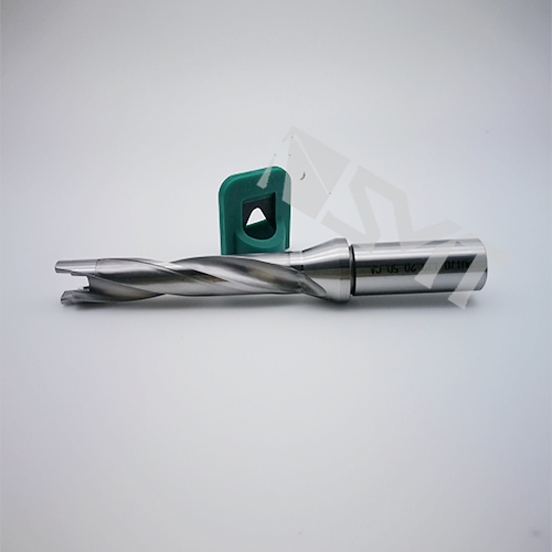 Drilling-Head Exchangeable Drill Body-Qd170-179-20-5D-Ca