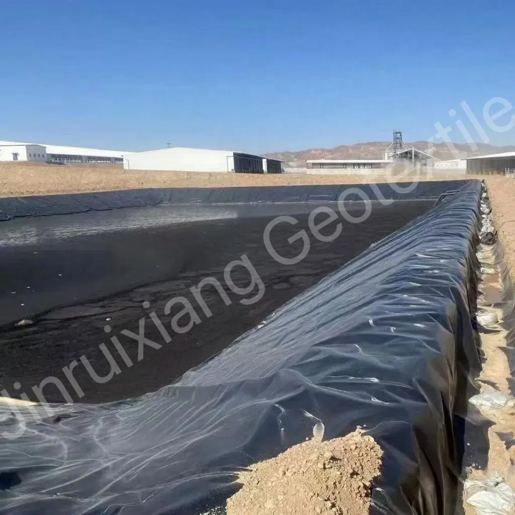 Smooth HDPE Geomembrane for Agriculture Irrigation Reservoir Textured for Agriculture