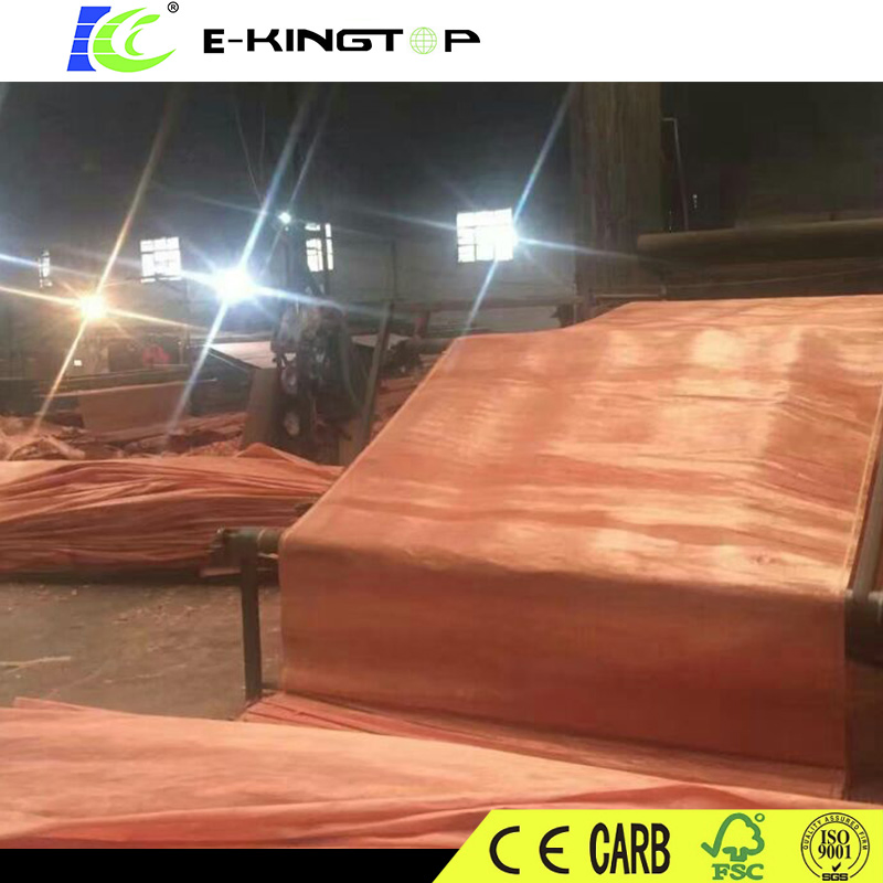 Natural Wood and Engineer Veneer, Bintangor, Birch, Pine, Okoume, Oak, Beach, Walnut Veneer