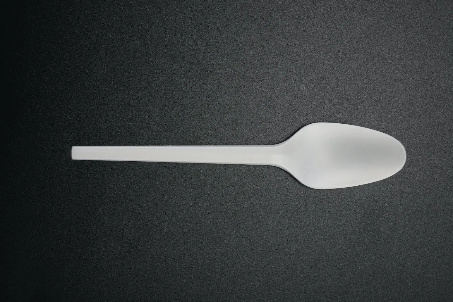 Eco-Friendly Biodegradable Corn Starch Knife Fork Spoon 8 Inch Disposable PLA Tableware Set for Restaurant 10