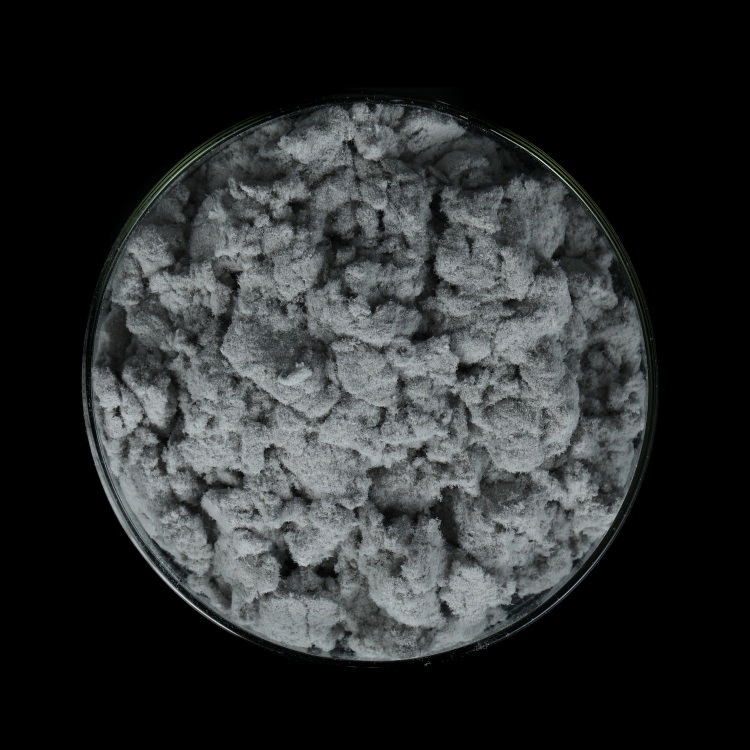 Wood Cellulose Fiber for Construction for Insulation Mortar