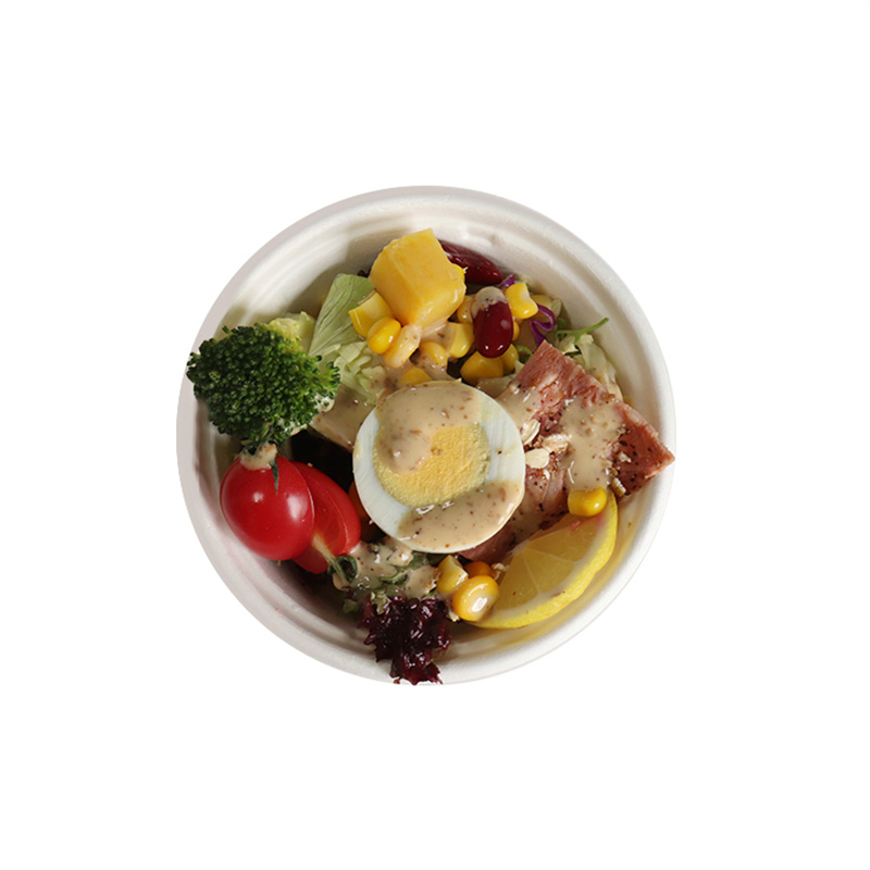 500ml Disposable Biodegradable Sugarcane Bagasse Tableware Healthy Eco-Friendly Food Party Salad Lunch Bowl