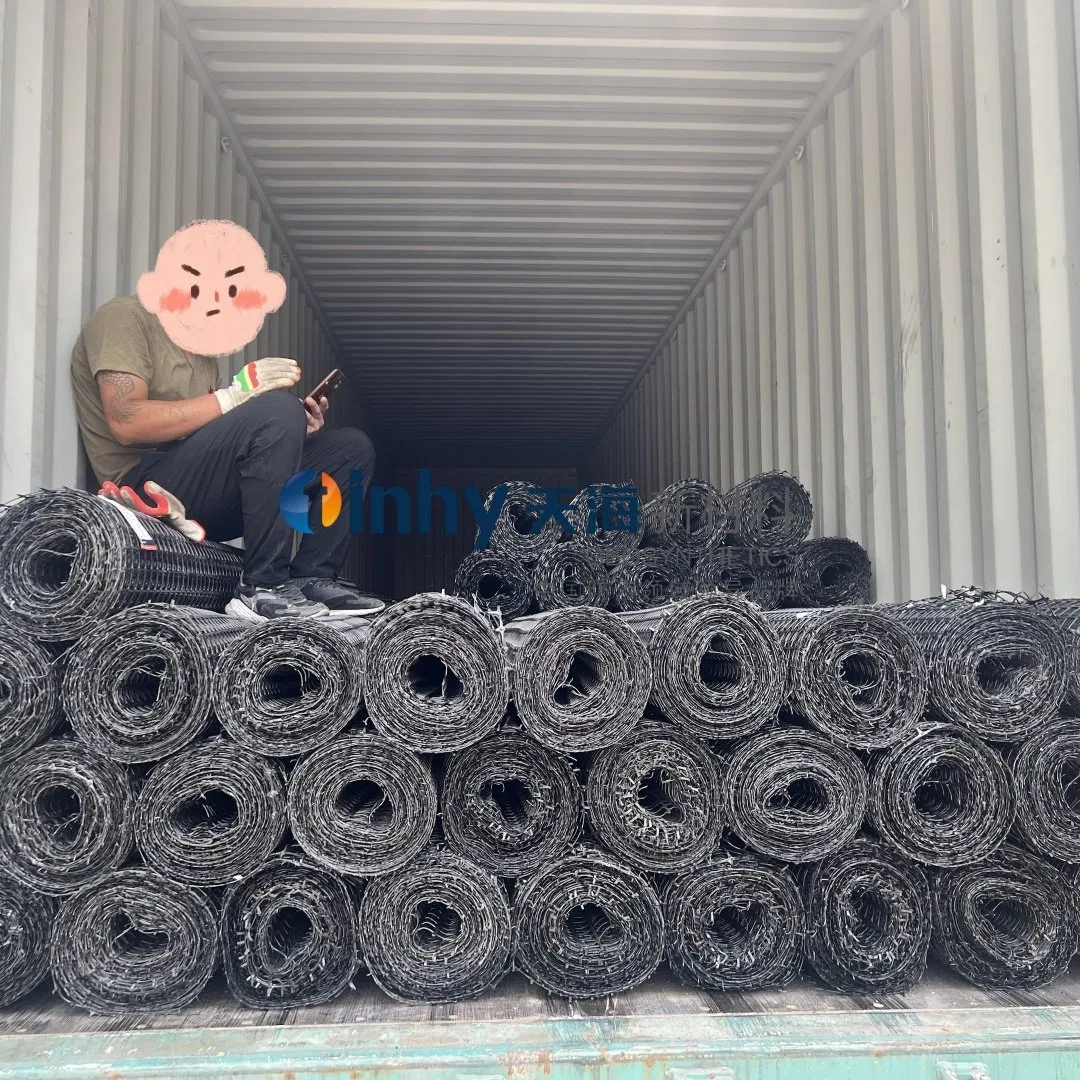 Uniaxial Biaxial Geogrid Fabric Plastic Geogrid Glass Fiber Geogrid for Asphalt Reinforcement and Driveway