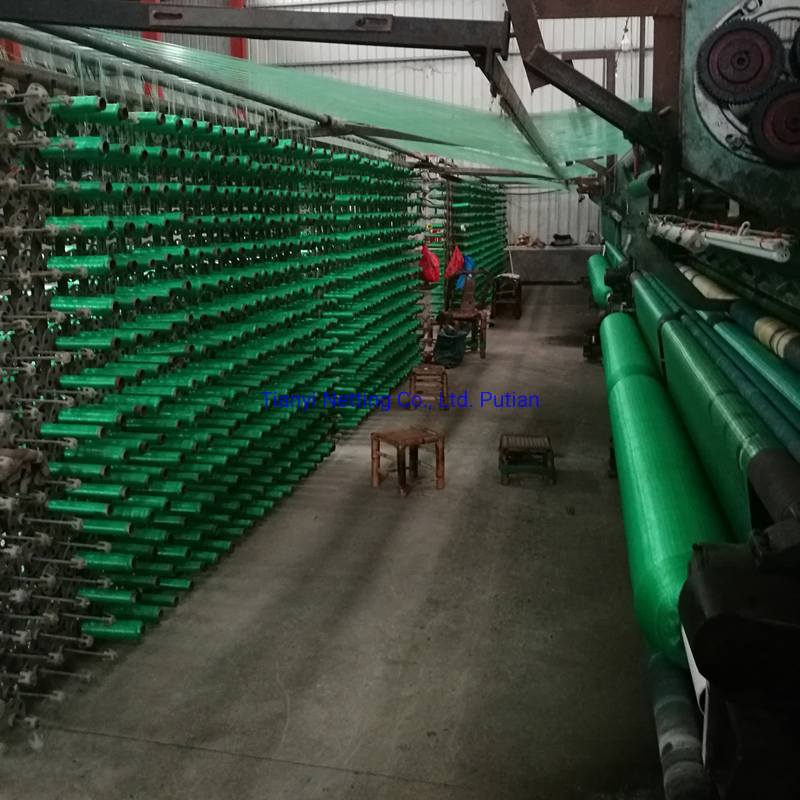 HDPE 8GSM 10X2m Green Color Anti Bird Net, Simple in Structure, High Quality, Protect Crops.