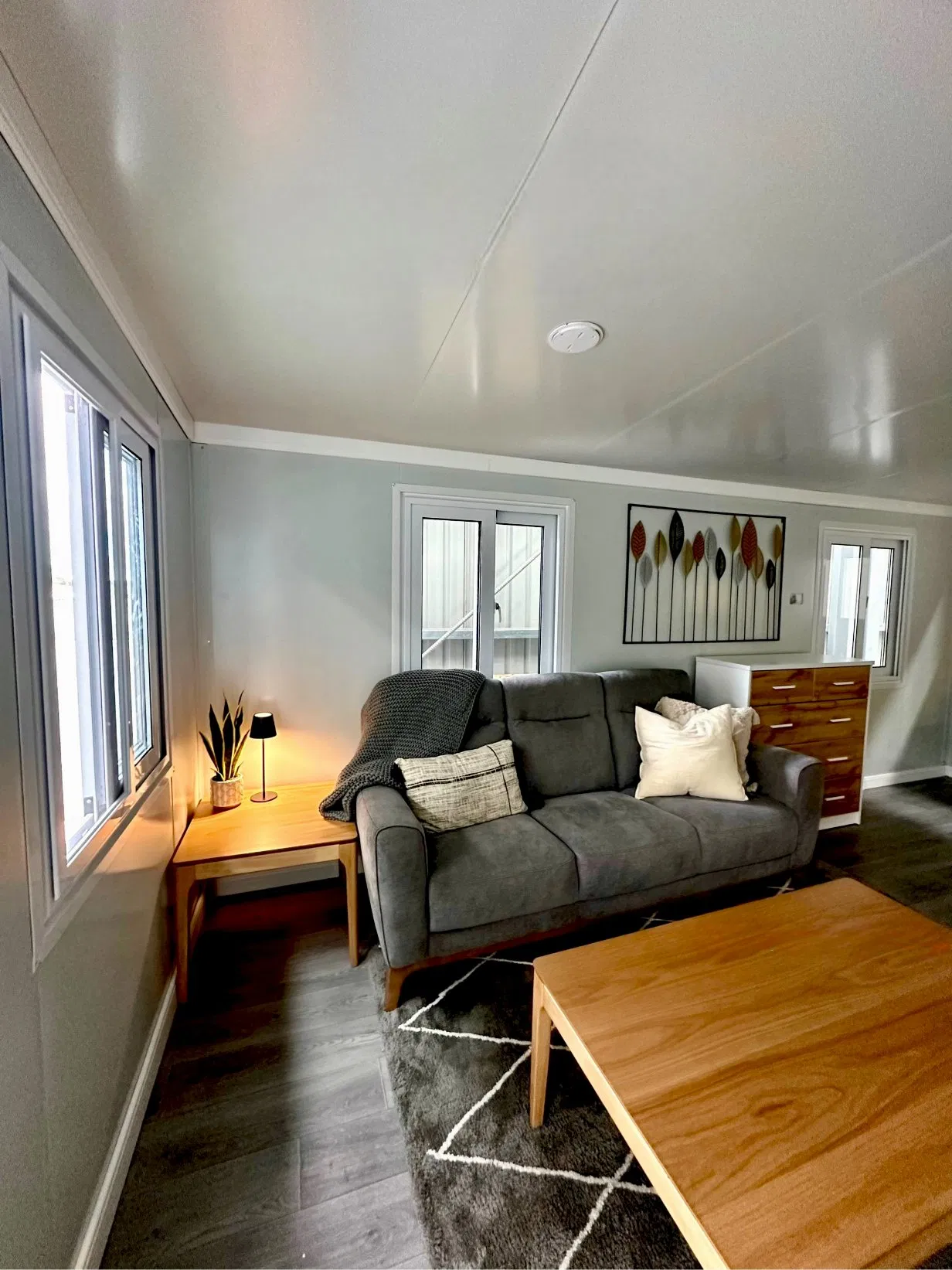 Move-in Ready Double Wing Extension Capsule House Space Container House