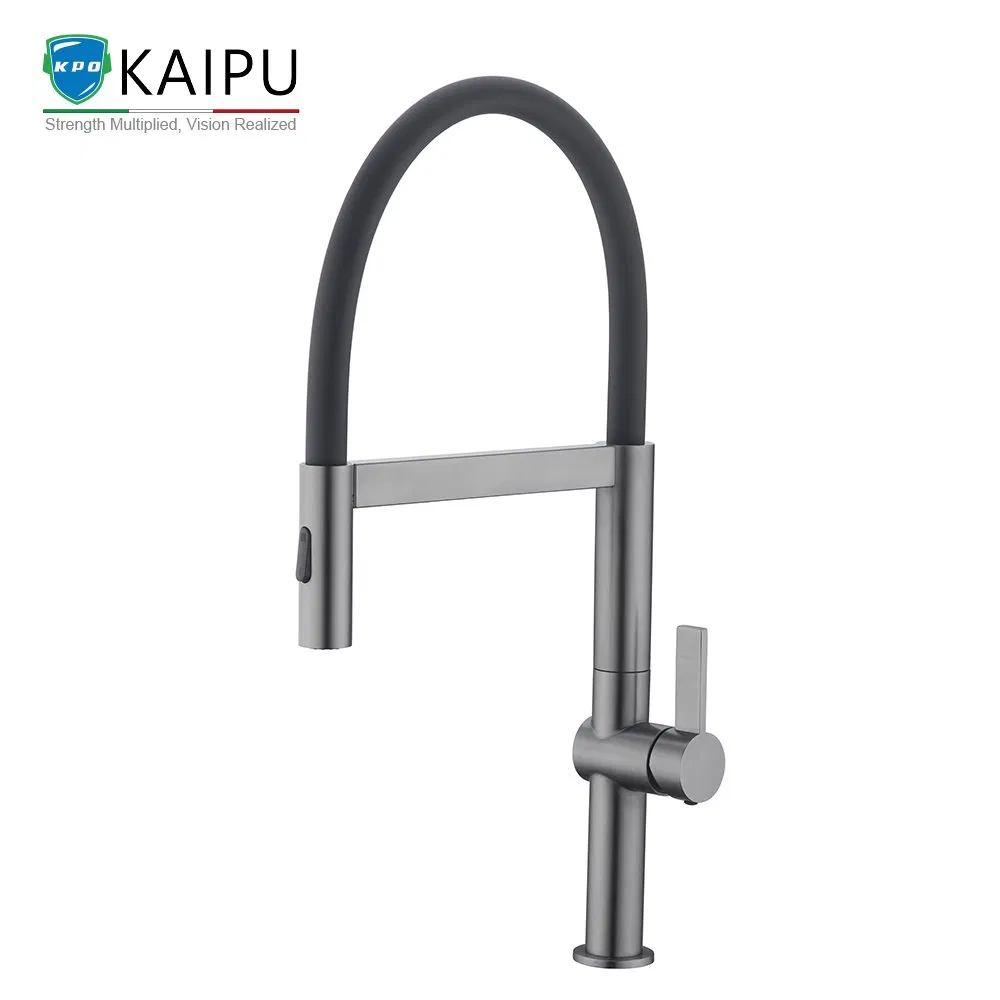 Kitchen Faucet with Sprayer Sink Taps