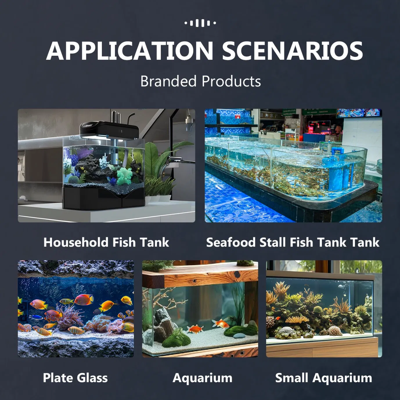 OEM/ODM China Factory 100% Non-Toxic Clear Acetic Glazing Adhesive Fish Safe Tank Aquarium Silicone Sealant