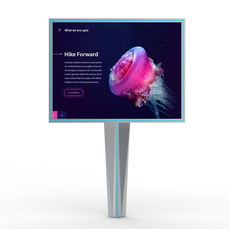 Street HD Full Color P5 P6 P8 P10 LED Display Digital Billboard