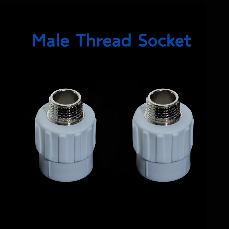 Wholesales PPR Male Thread Socket of PPR Pipe Fittings 20*1/2'