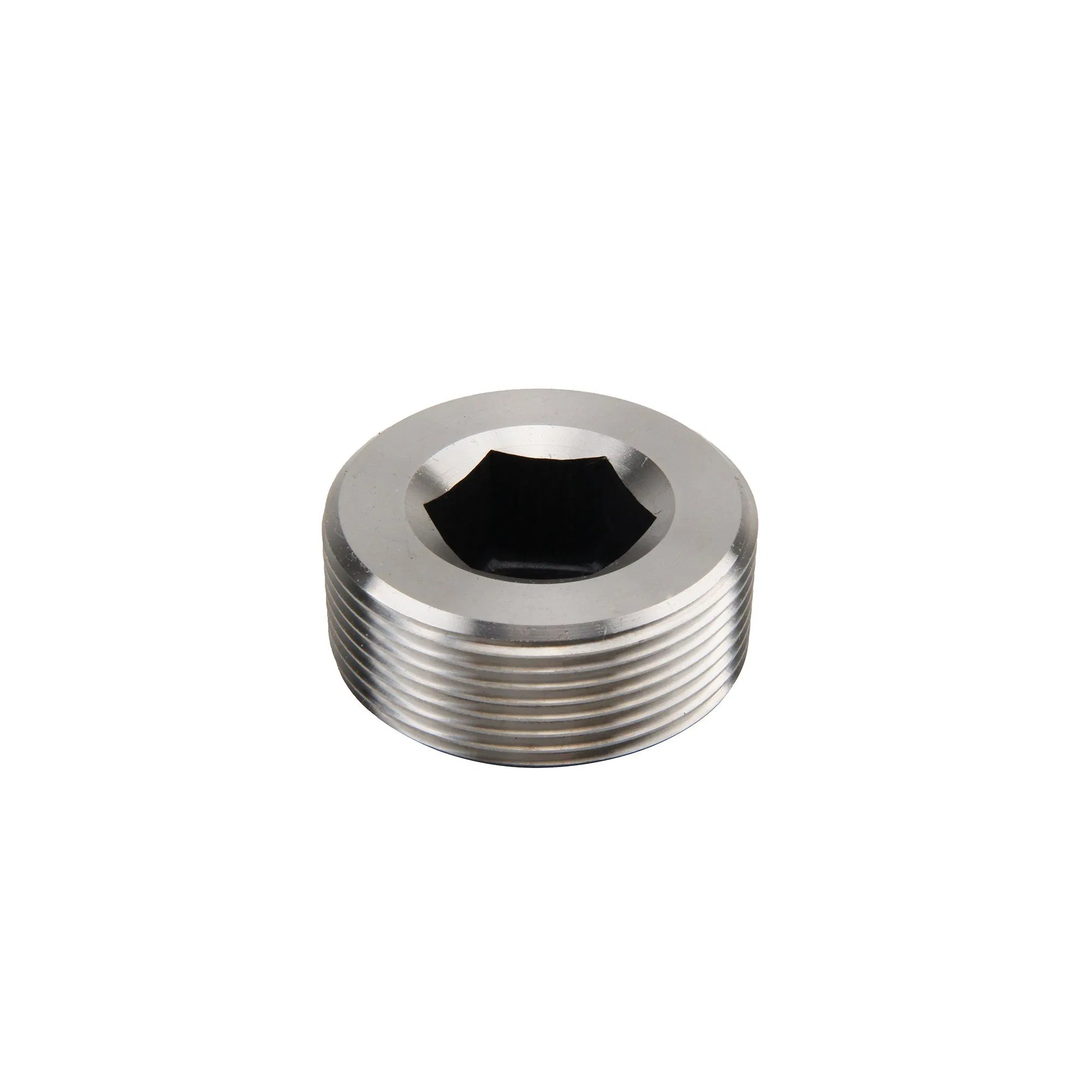 NPT Thread Pipe Fitting Stainless Steel 316 Plug for Water Heaters