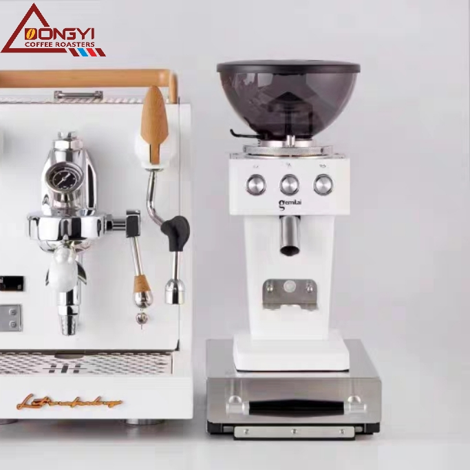 Commercial Coffee Grinder for Home/Shop/Industrial 11shifts Powder Adjustment