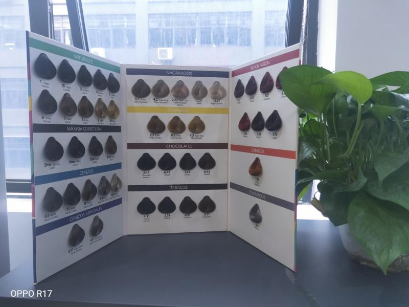 Straight & Round Shades Hair Color Chart Colour Swatches Professional Manufacturer