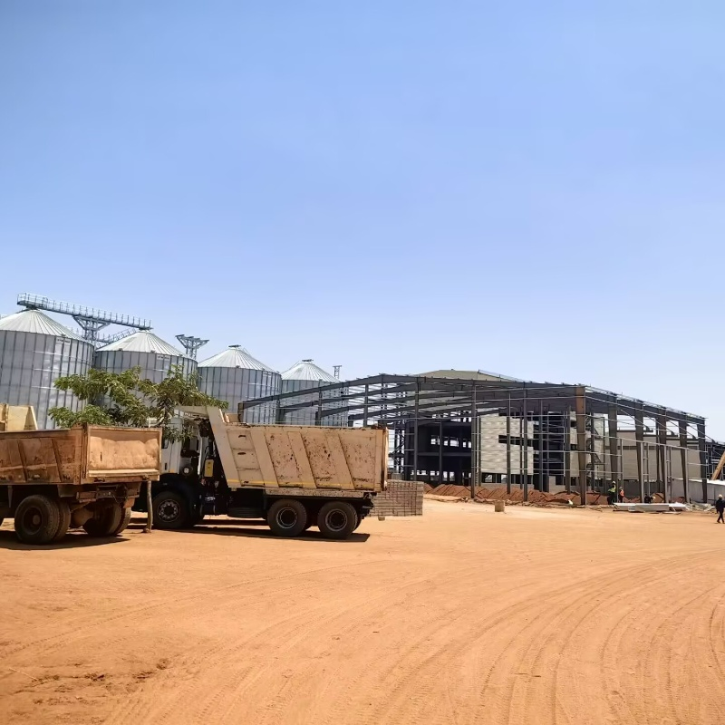 Popular Wholesale Industrial Prefabricated Steel Structure Mill Plant with Low Cost