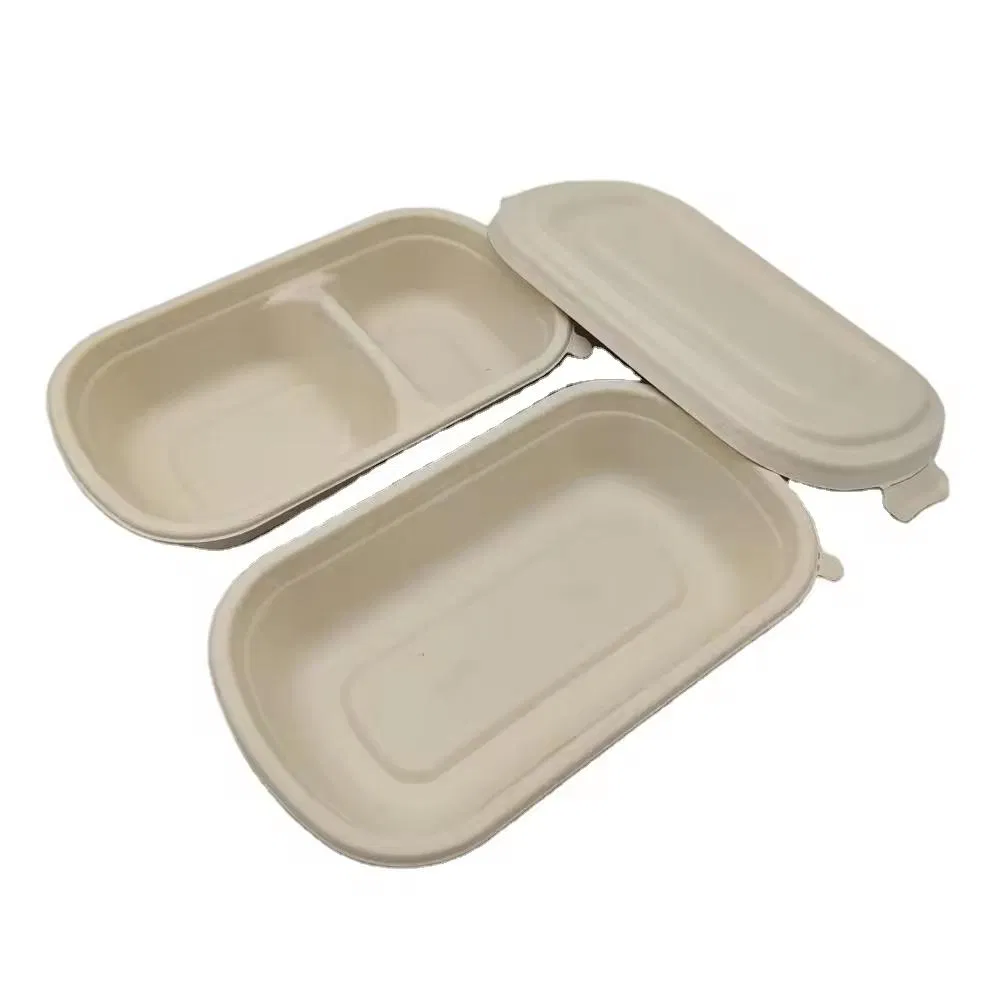 Sugarcane Fiber Container Disposable Biodegradable Paper Takeaway Box with Lid