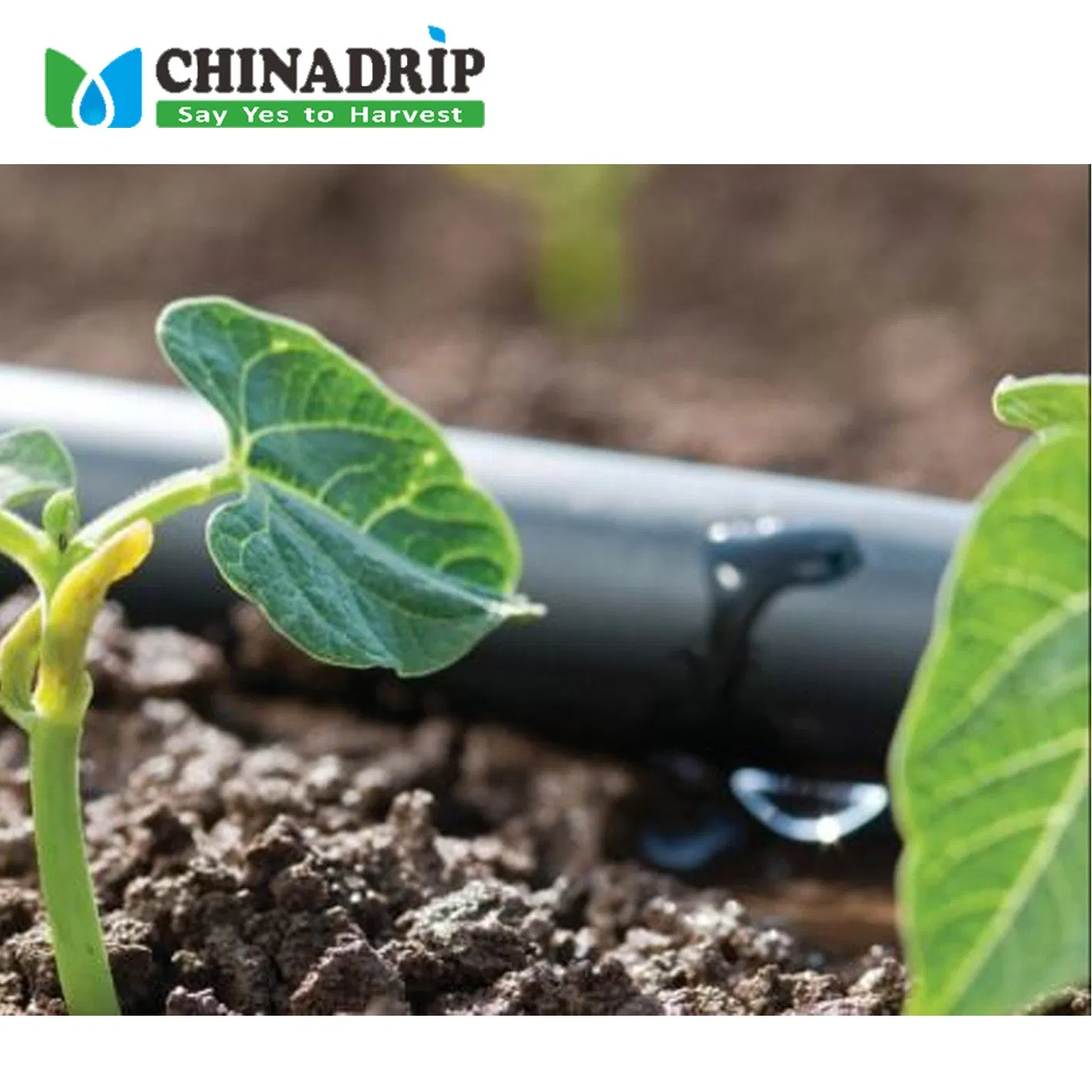 16mm China Farm Subsurface Gravity Drip Irrigation System Design Agriculture Pressure Compensation Emitter Inline PC Drip Tape