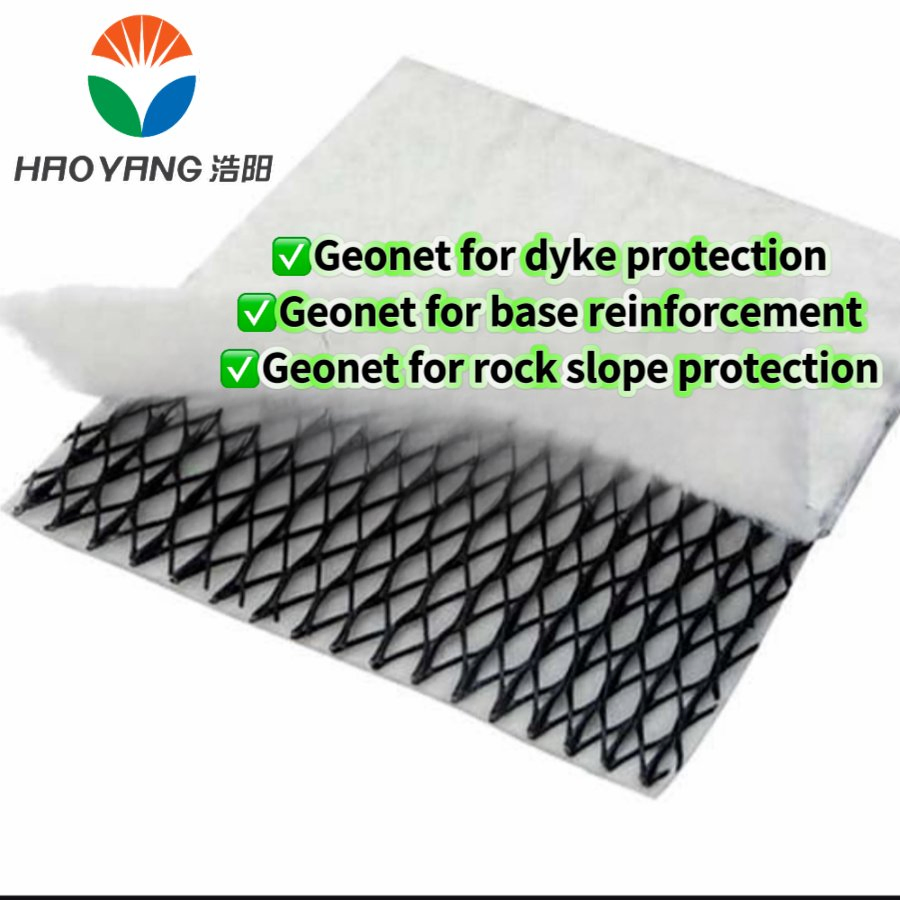 HDPE Premium Geonet for Erosion Control and Soil Stabilization Solutions