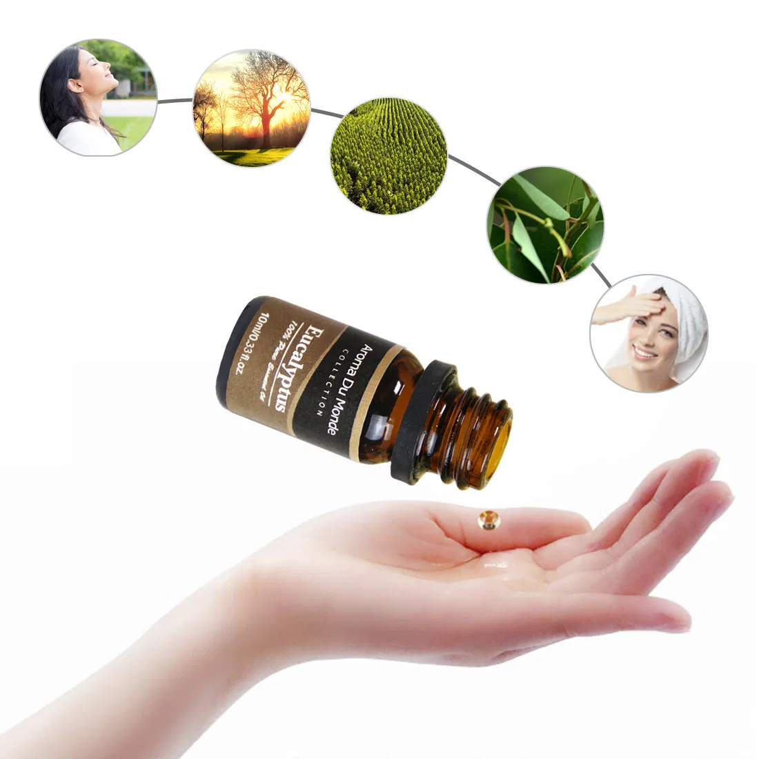 5ml, 10ml Amber Glass Pure Cedarwood Scents Essential Oil