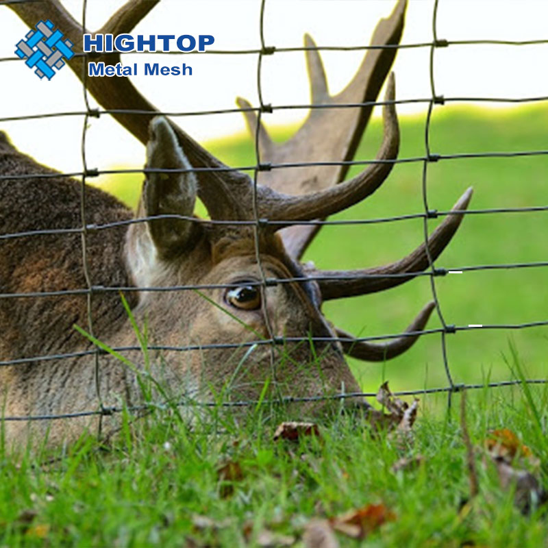 Cheap Galvanized Iron Wire Mesh Cattle / Horse / Deer / Field Fence