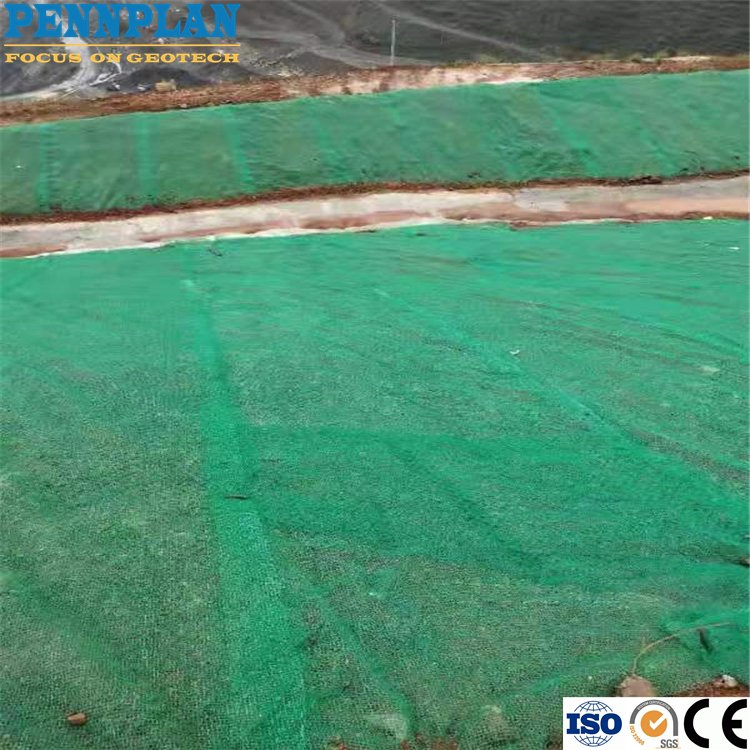 3D HDPE Geomat for Slope Protection Erosion Control Mat Geomat