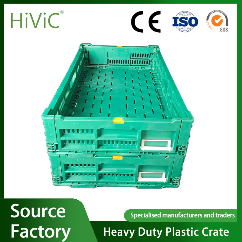 100% PP Material Collapsible Plastic Food Container Nestable and Stackable Vegetable Harvesting Foldable Transport Plastic Crates