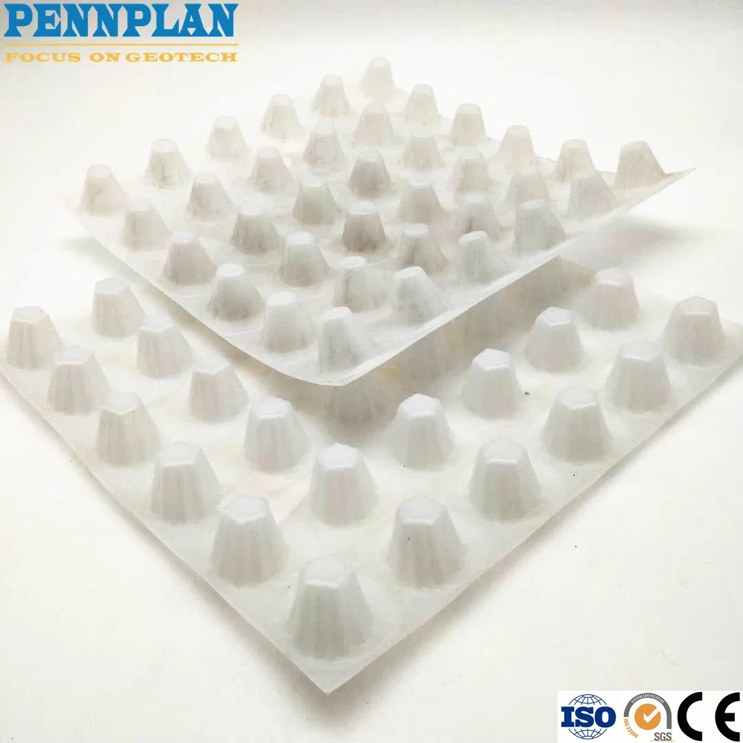 Construction Waterproof Dimple Membrane Drain Mat Plastic Sheet HDPE