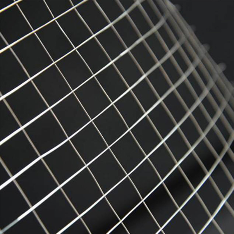 Airport Perimeter Security Fencing Galvanized Welded Fence Wire Mesh (HP-FENCE0102)
