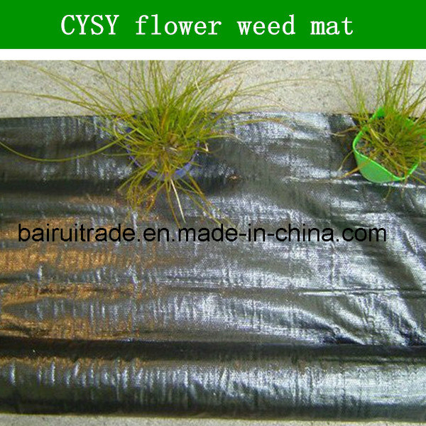 60g PP Weed Mat for Garden