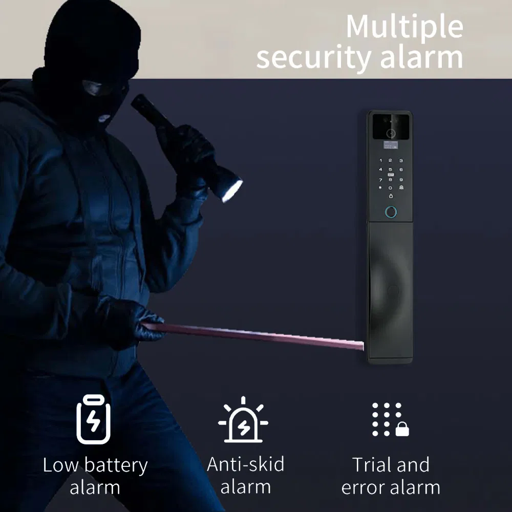 3D Face Recognition Smart Door Lock with Camera Tuya WiFi Biometric Door Smart Digital Lock