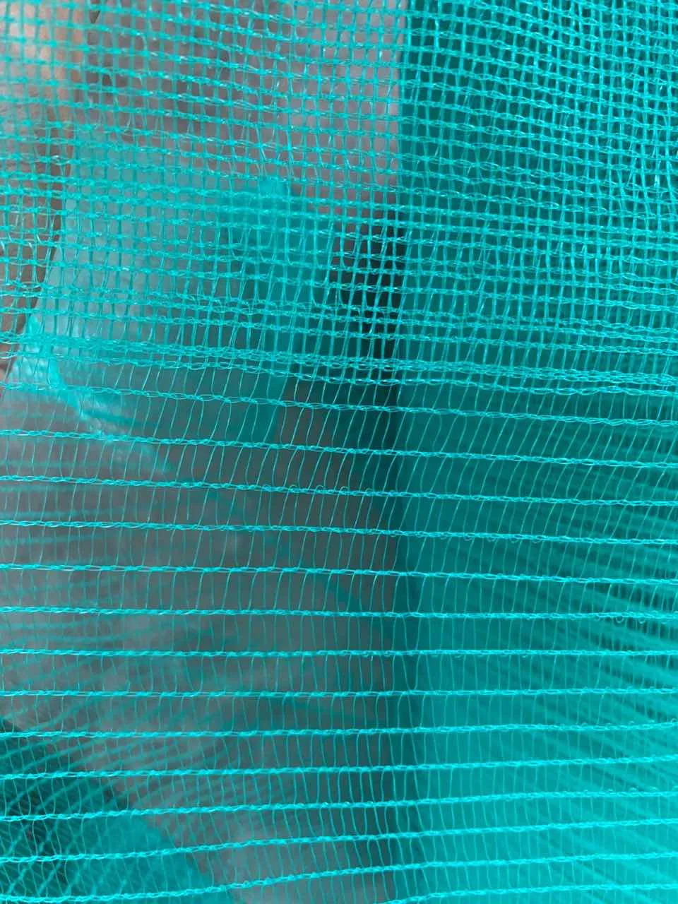 Professional High Quality Construction Scaffolding Material