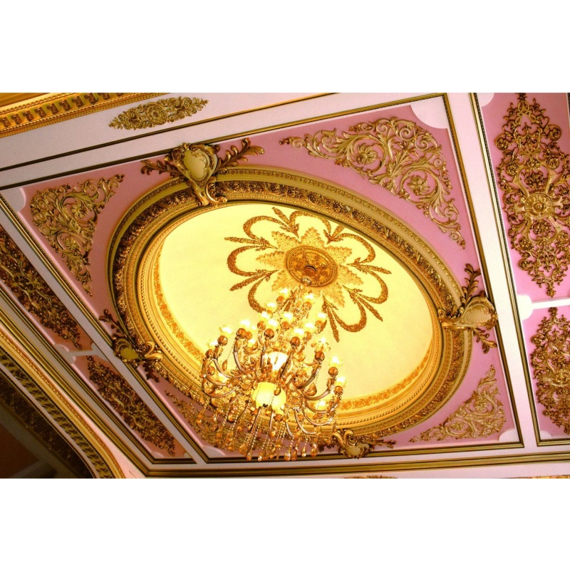 Banruo PS Ceiling Panel Tiles Medallion for Light Ceiling Lamp