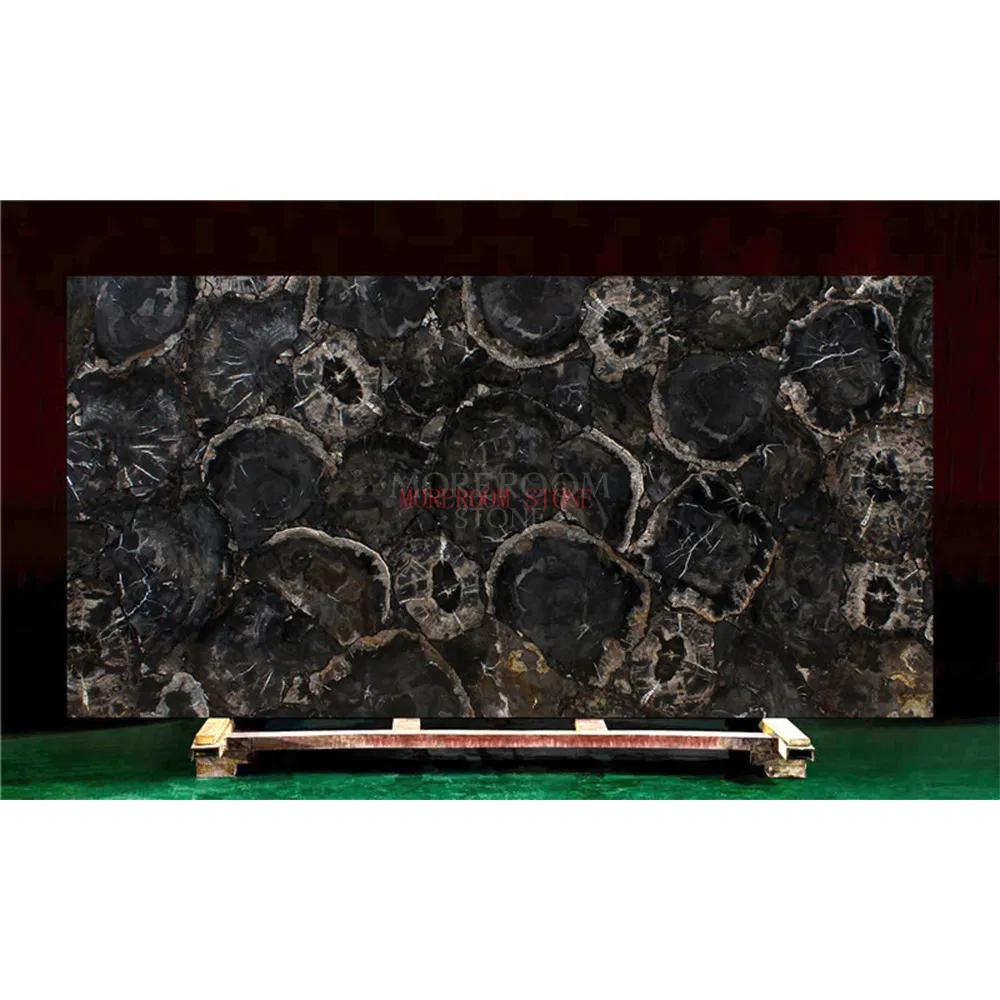 Gemstone Black Petrified Wood Slab