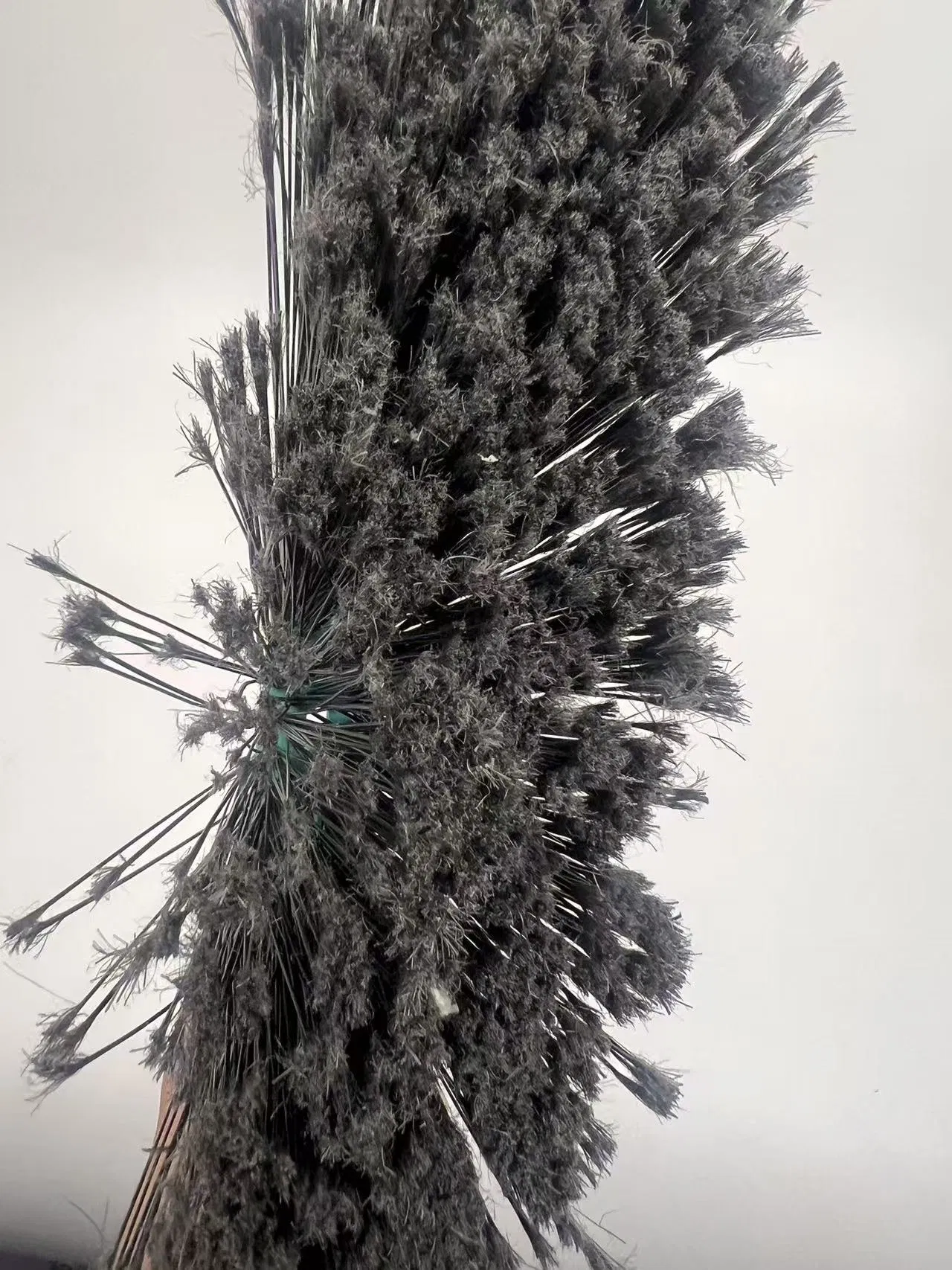 Heavy-Duty Pet Cleaning Broom with Stiff Bristles for Indoor and Garage Use