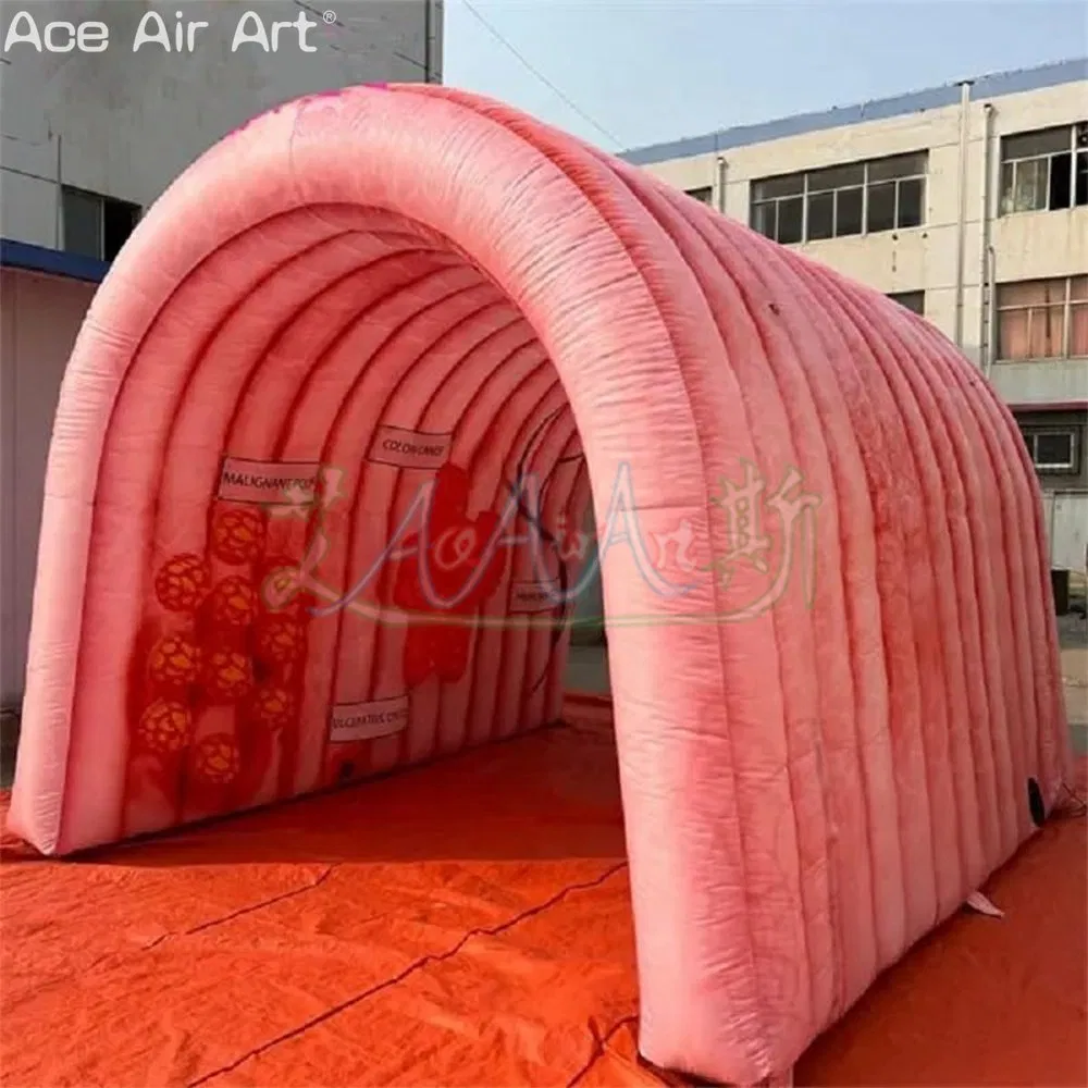 Customized Inflatable Cecum Model Inflatable Event Promotion Intestine for Display Safety Education