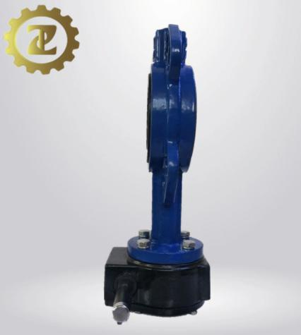 Worm Gear Operated Ductile Iron Body CF8 Disc Wafer Butterfly Valve