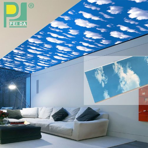 Interlocking PVC Ceiling Panels 30cm Low Price