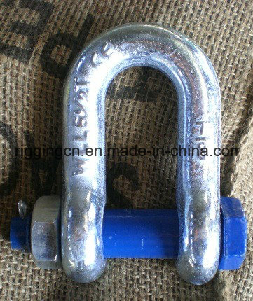 Stainless Steel Long D Shackle