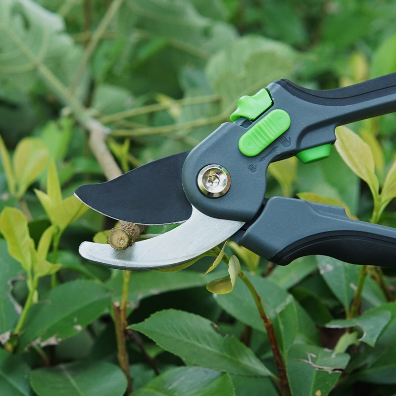 Professional Tree Pruning Scissors Shear Blade Fruit Trimmer Cutter