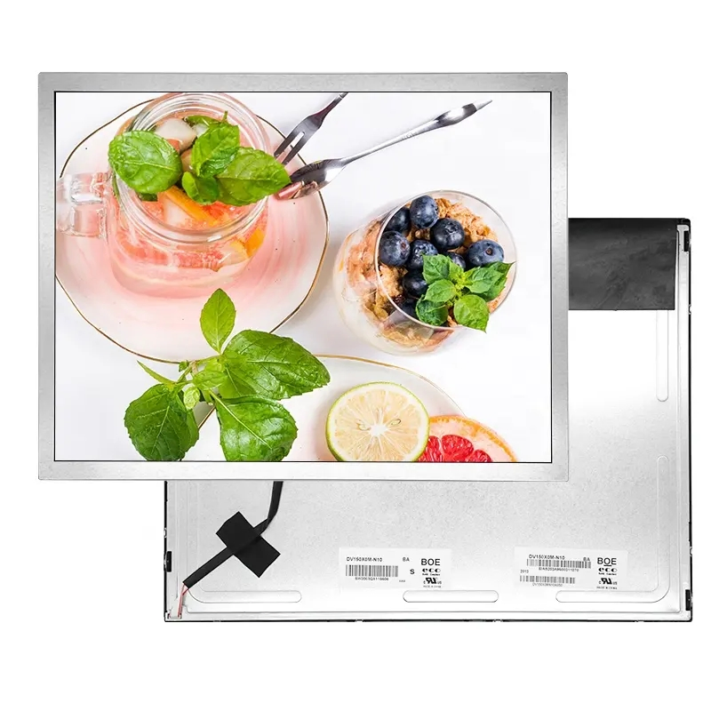 EV150X0m-N10 15 Inch LCD Display Panel 1024*768 TFT Display