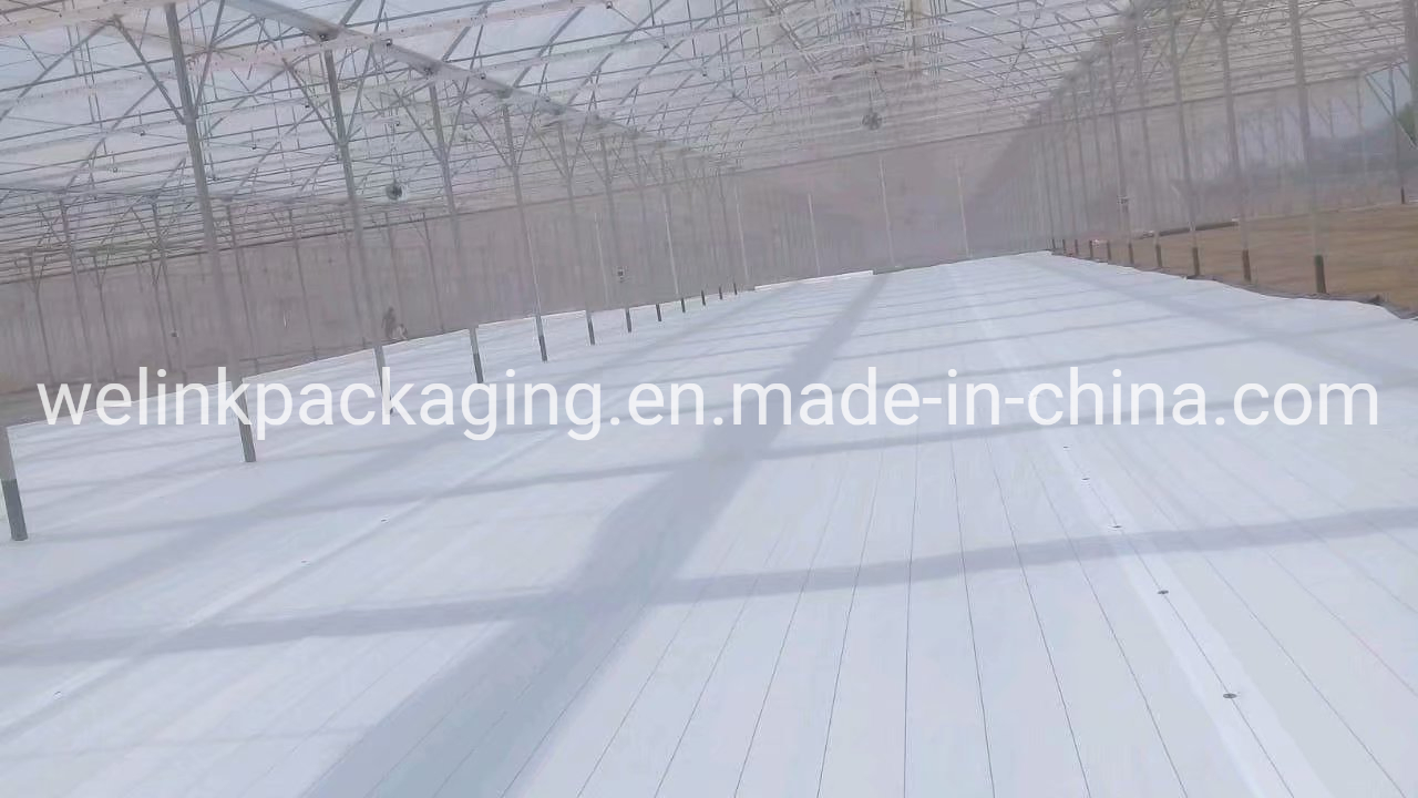 SGS Brc Certified Manufacturer Garden Farm Hydroponic UV Blocked Ground Cover Agrotextiles PP Woven Fabric Weed Control Fabric Weed Stop Fabric Weedmat