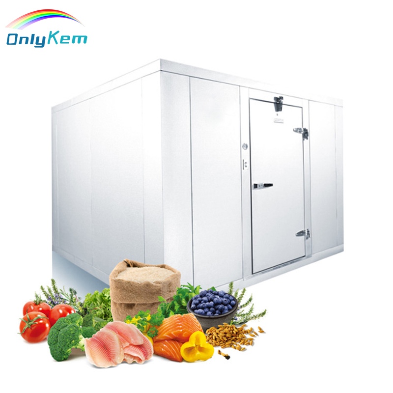 Fish Cold Storage, Frozen Meat Cold Room, Freezer Room