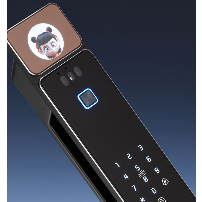 Ai Wake up 3D Face Palm Vein Unlock Smart Lock