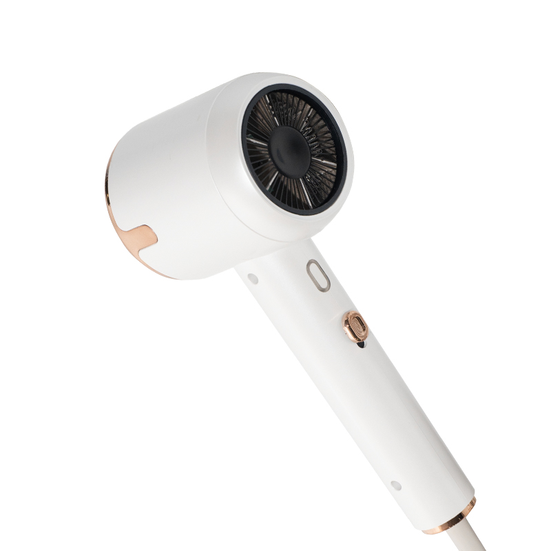 Personalizable Quick Drying Hair Dryer with CE Certification
