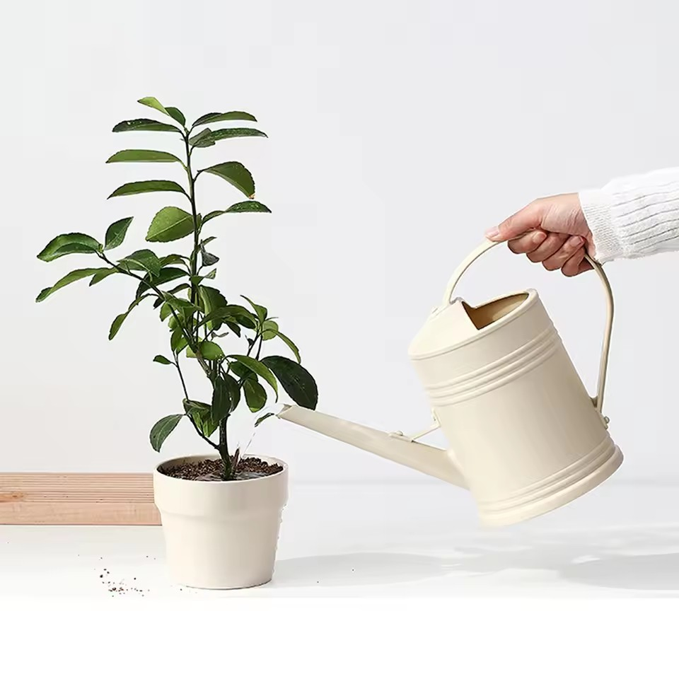Watering Can for Indoor Plants Small Watering Cans for House Plant Garden Flower Long Spout Water Can for Outdoor Watering Plant