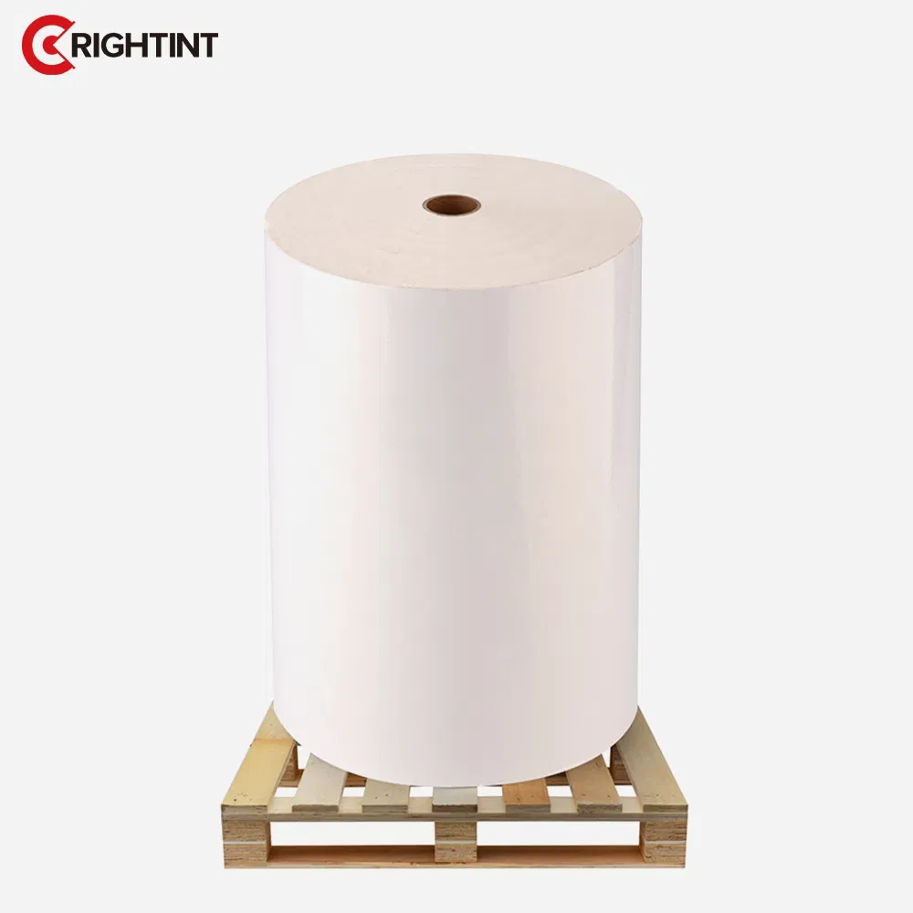 High Quality Removable PET material jumbo for Europe flexographic Label paper roll