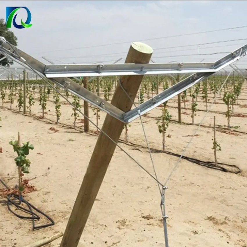 Galvanized Steel Vineyard Framework for Grapevine Support with Strong and Secure Trellis Posts for Commercial Use