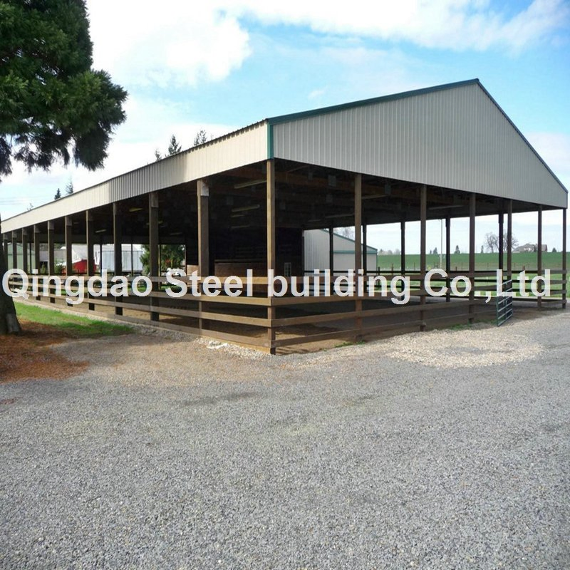 Prefabricated Steel Structure Indoor Horse Riding Hall / Horse Riding Arena Construction Building