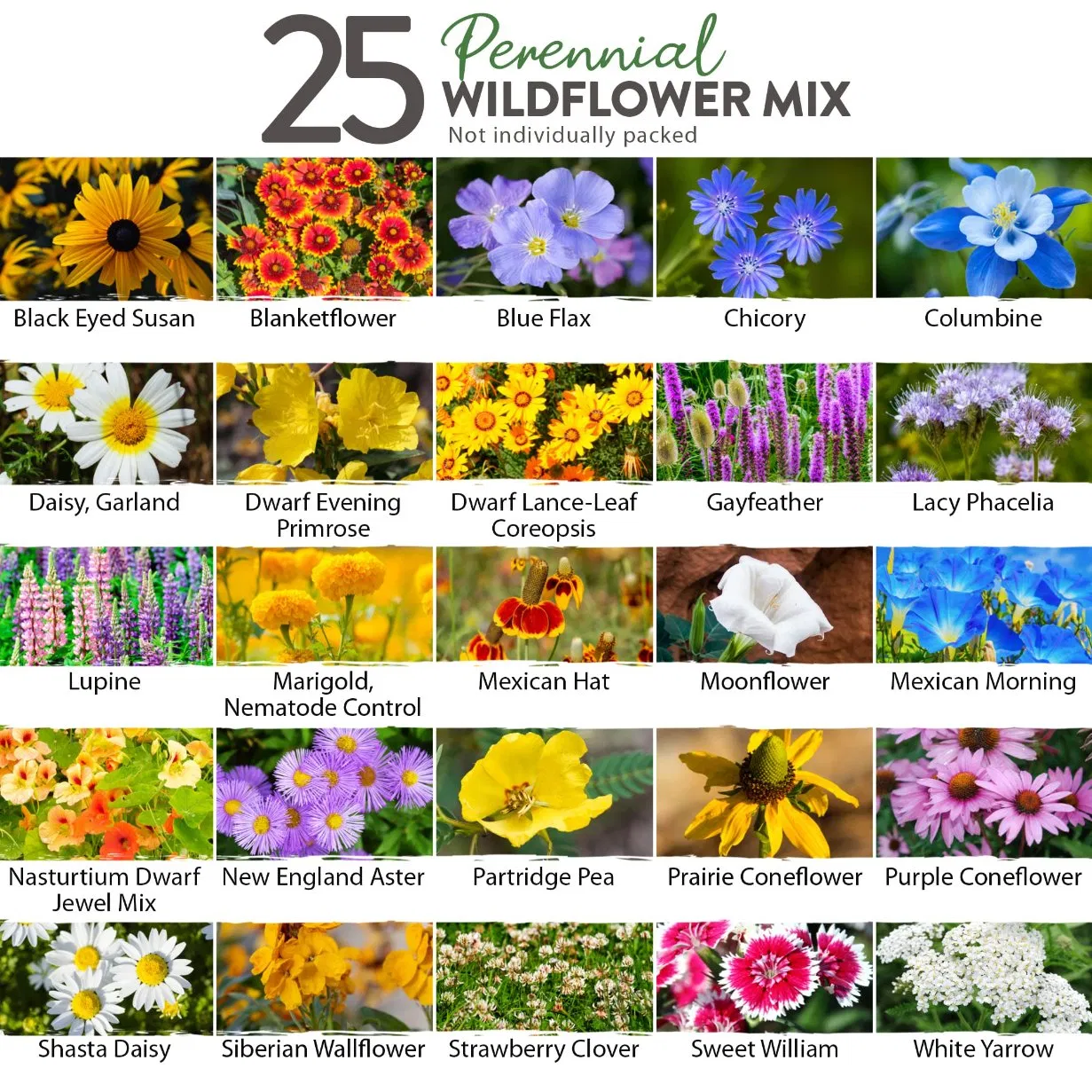 Wholesale Home Grown USDA Organic Wildflower Seeds Mix for Attracting Birds & Butterflies