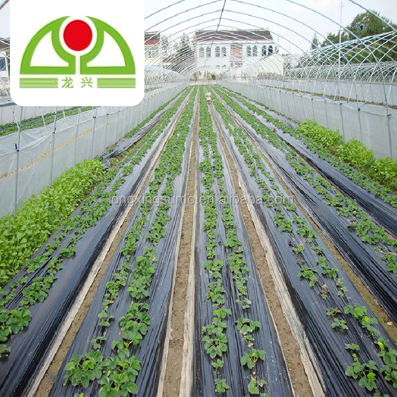 Black/Green/White Compostable 100% Virgin PP/PE/Plastic Woven Geotextile/Ground Cover/Anti Weed Barrier/Control Mat for Agriculture/Garden/Landscape