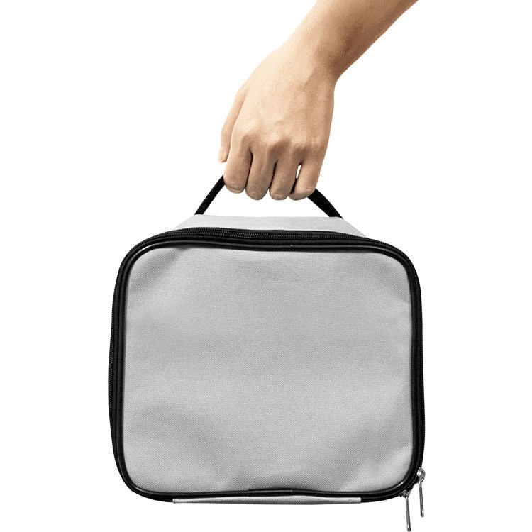 Compact Smart Clothes Dryer and Portable Steam Iron