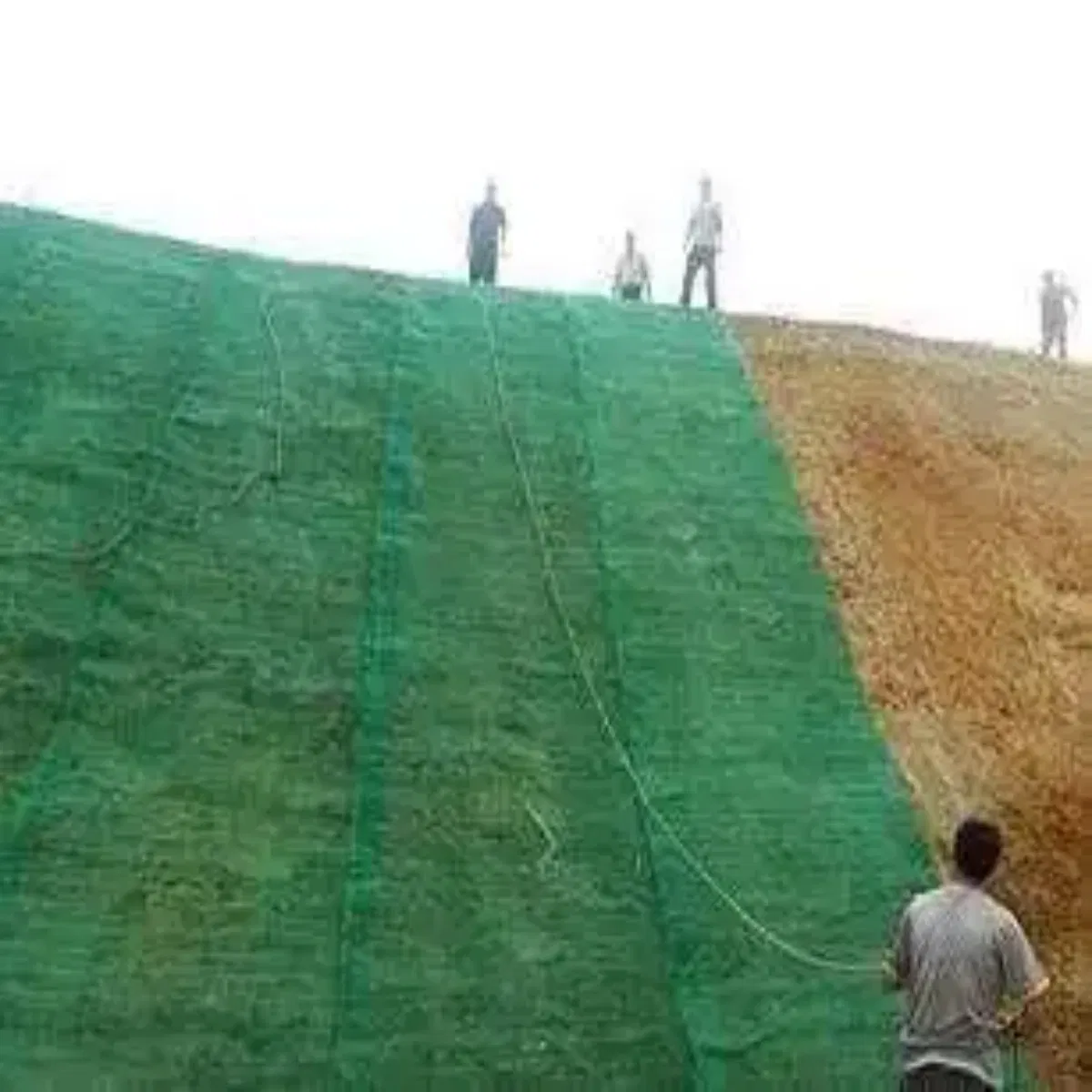 Tianre 3D Geomat Erosion Control Mats for Soil Stabilization